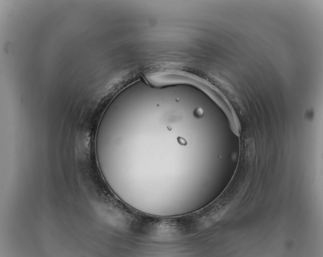 X0000090710308200707271137