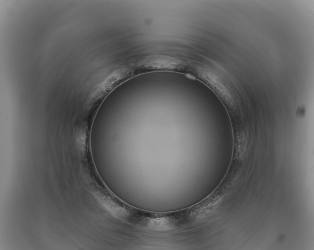 X0000090710309200707271137