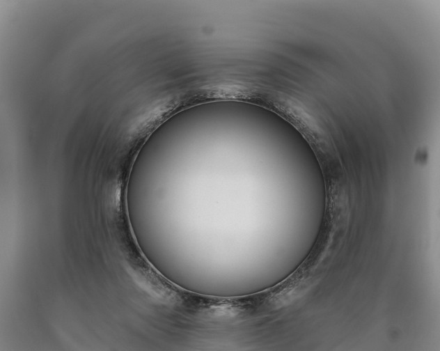 X0000090710310200707271137