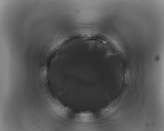 X0000090710314200707271136