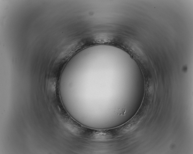 X0000090710315200707271136