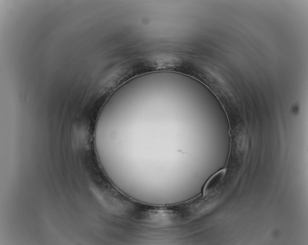 X0000090710316200707271136