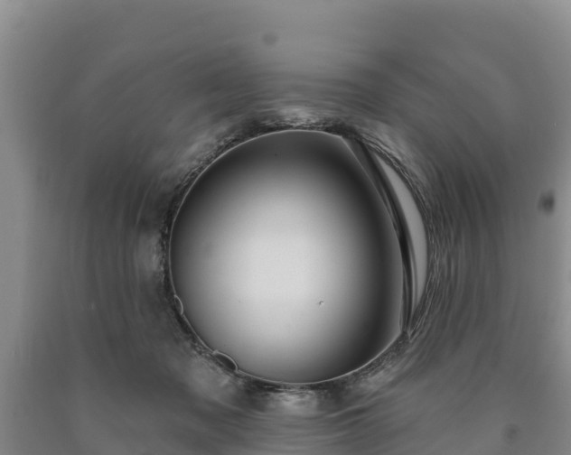 X0000090710317200707271136