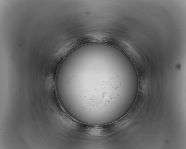 X0000090710318200707271136