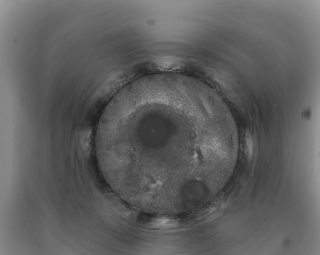 X0000090710319200707271136