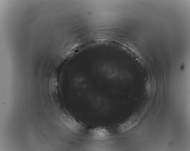 X0000090710322200707271136