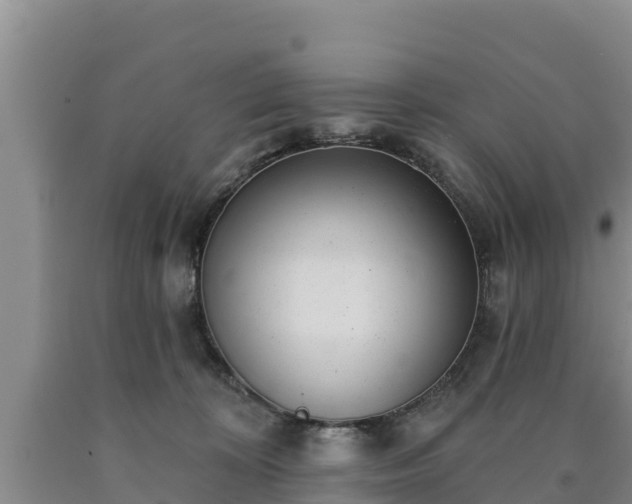 X0000090710324200707271136