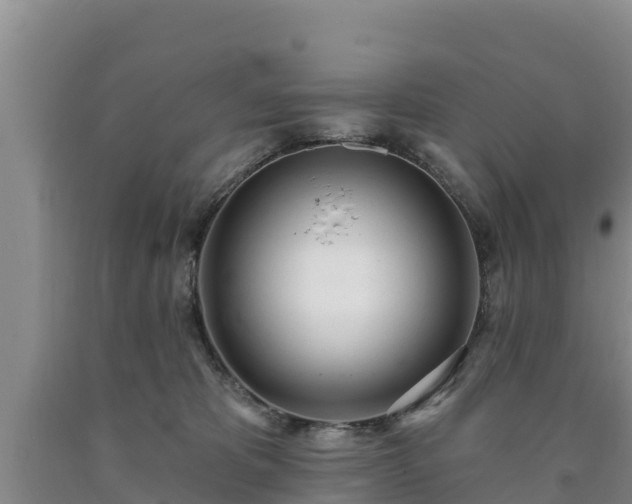 X0000090710325200707271136