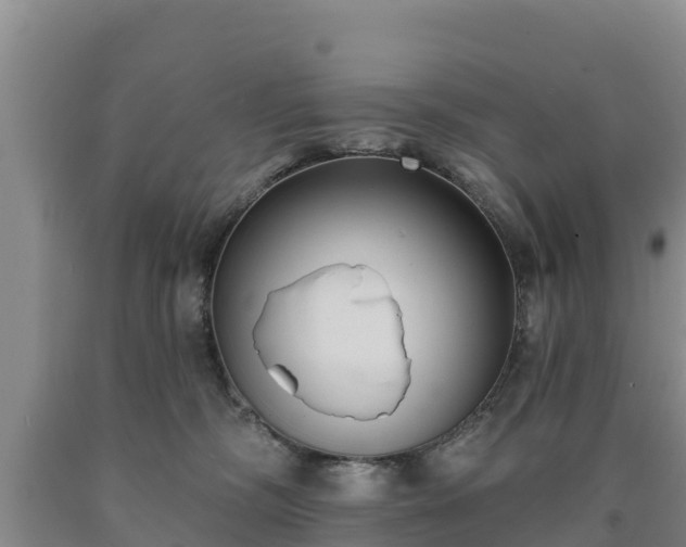 X0000090710326200707271136