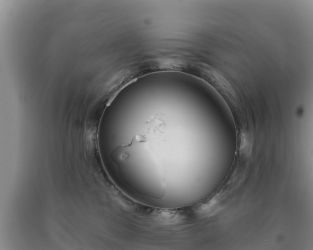 X0000090710329200707271136