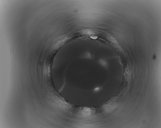 X0000090710330200707271136