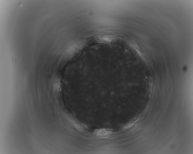 X0000090710331200707271136