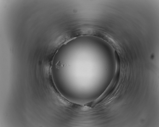 X0000090710333200707271136