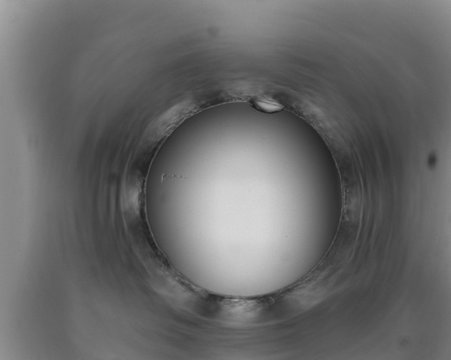 X0000090710334200707271136