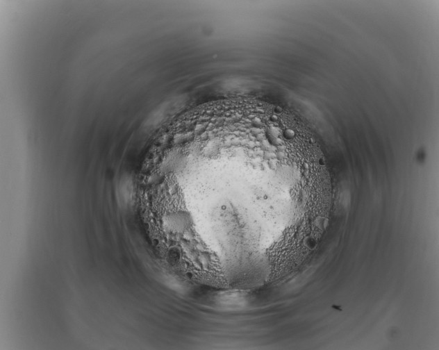 X0000090710335200707271136