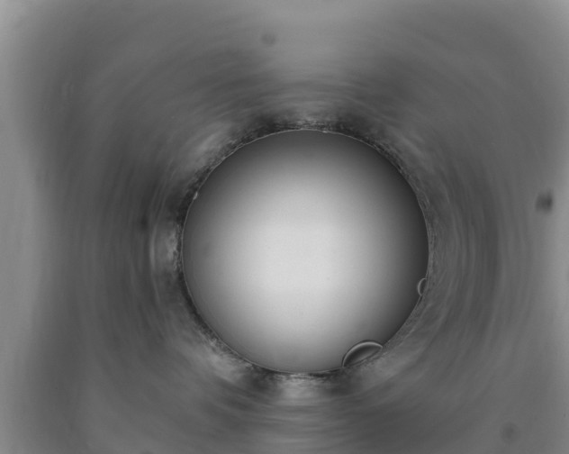 X0000090710336200707271136