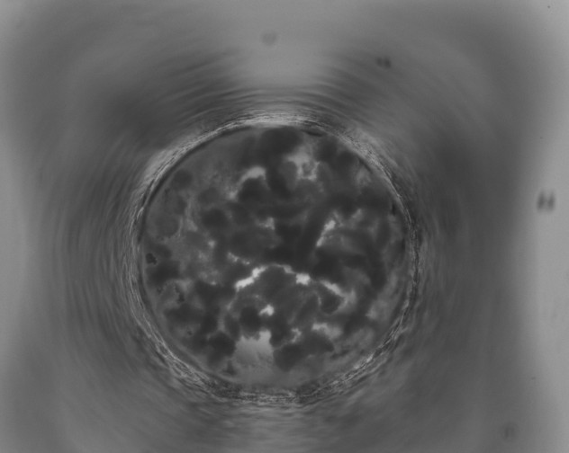 X0000090710337200707271136