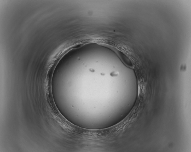 X0000090710339200707271136