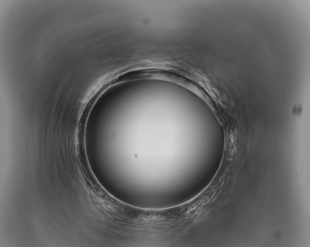 X0000090710340200707271136