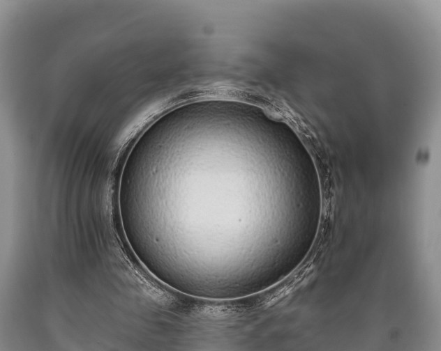 X0000090710341200707271136