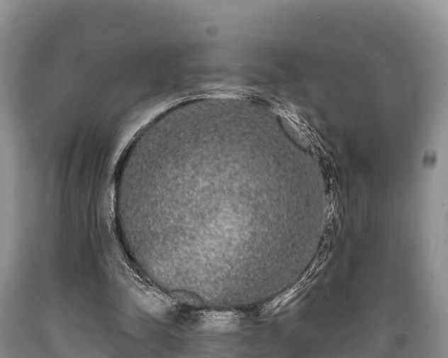 X0000090710342200707271136