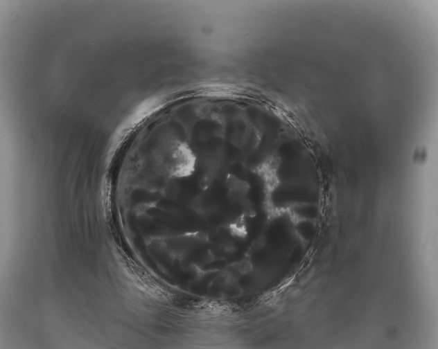 X0000090710343200707271136