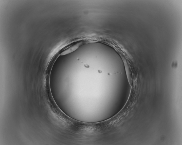 X0000090710344200707271136