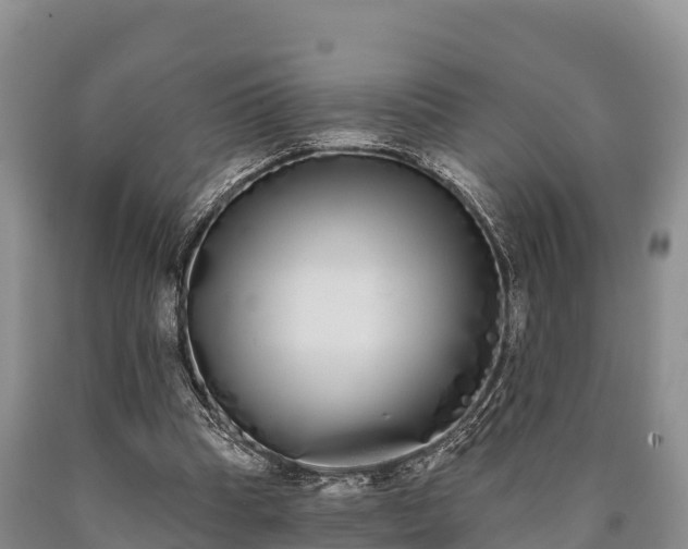 X0000090710345200707271136