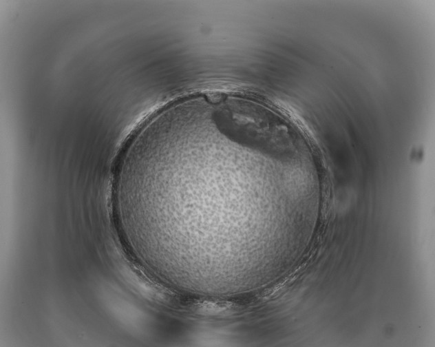 X0000090710346200707271136