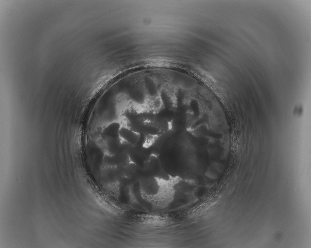 X0000090710347200707271136