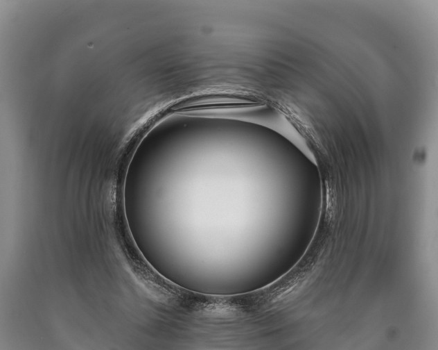 X0000090710348200707271136