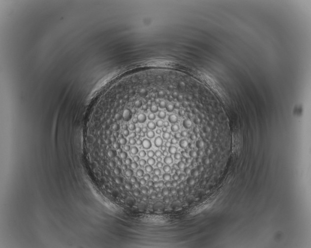 X0000090710349200707271136