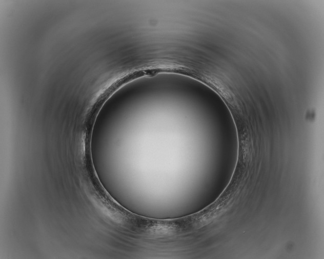 X0000090710350200707271136