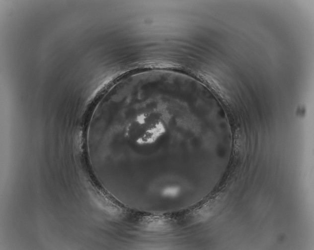 X0000090710351200707271136