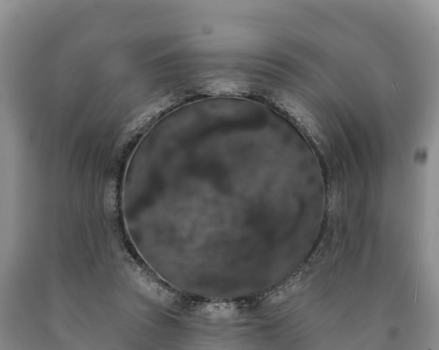 X0000090710353200707271136