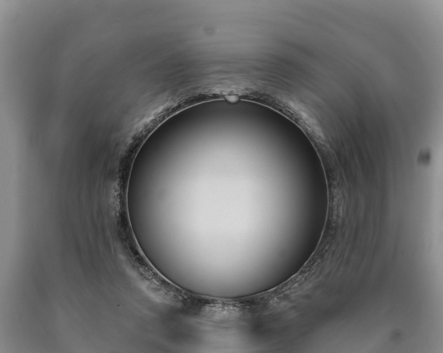 X0000090710354200707271136