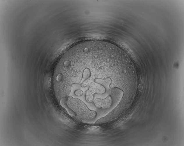 X0000090710355200707271136