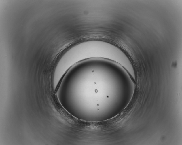 X0000090710356200707271136