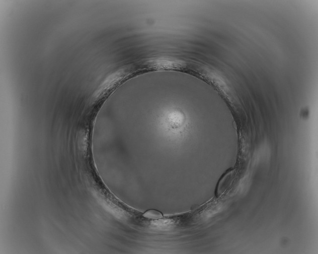 X0000090710357200707271136