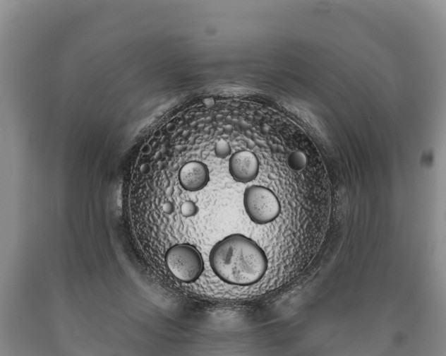 X0000090710358200707271136