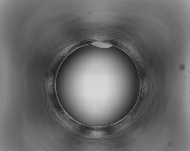 X0000090710360200707271136