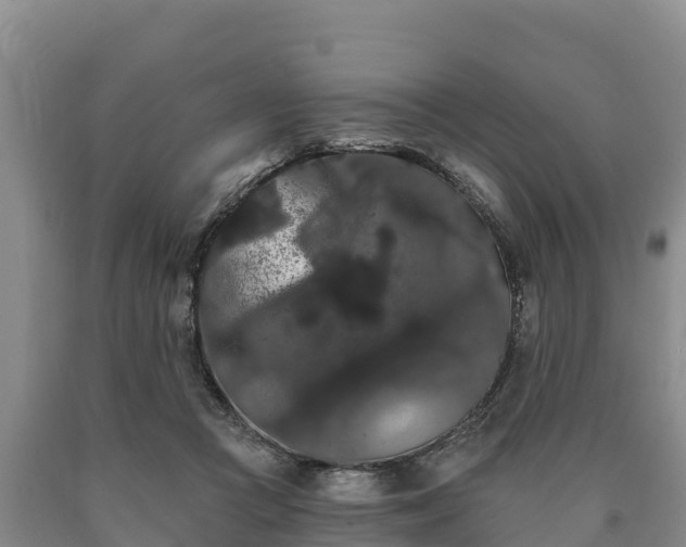 X0000090710361200707271136