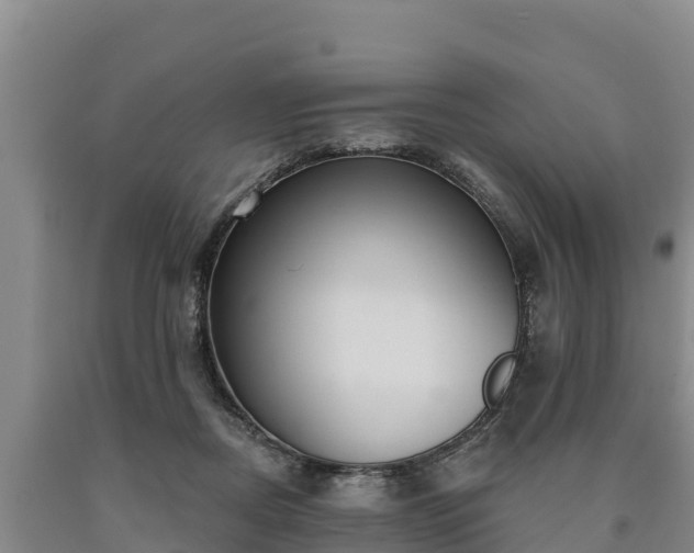 X0000090710362200707271136