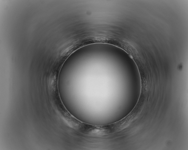 X0000090710364200707271136