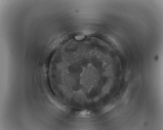 X0000090710366200707271136