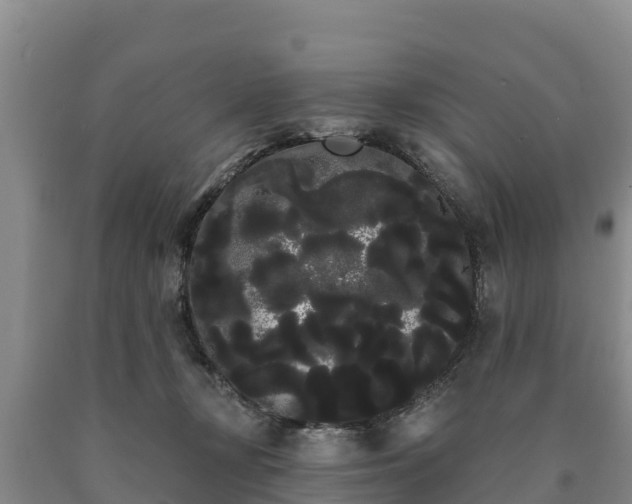 X0000090710367200707271136