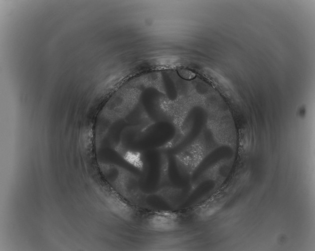 X0000090710369200707271136