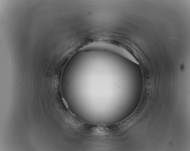 X0000090710372200707271136