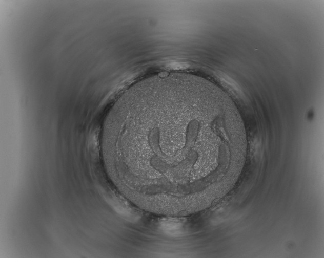 X0000090710373200707271136