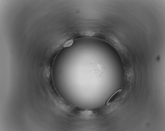 X0000090710374200707271136